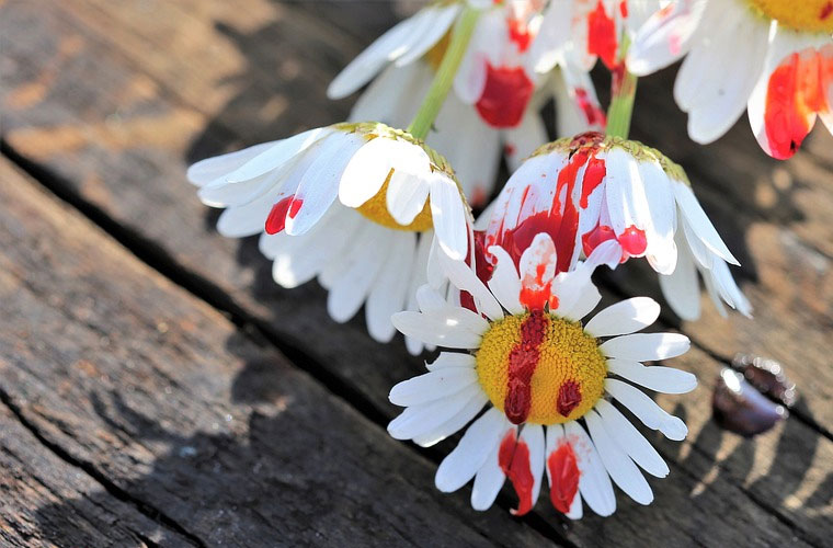 工業(yè)網(wǎng)絡(luò)通信技術(shù)應(yīng)用專業(yè)