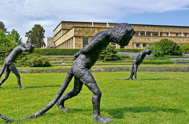 四川文化傳媒職業(yè)學院五年制大專有國際航空專業(yè)嗎？