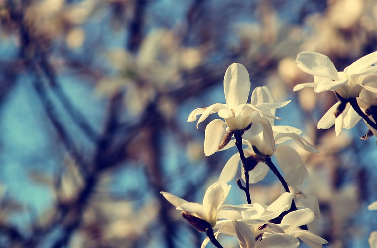 廣州番禺職業(yè)技術(shù)學(xué)院乘務(wù)專業(yè)