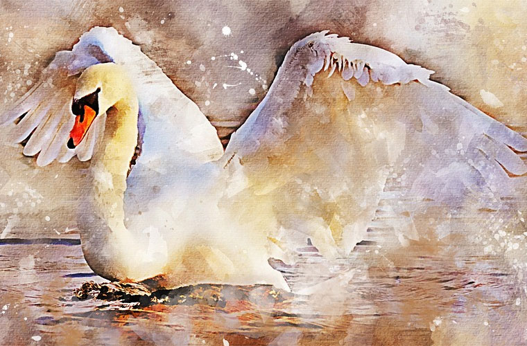 初中畢業(yè)有哪些美術(shù)專業(yè)學(xué)校