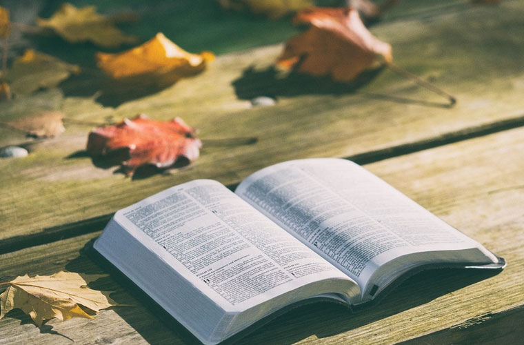 景寧縣金融專業(yè)本科助學(xué)班2025