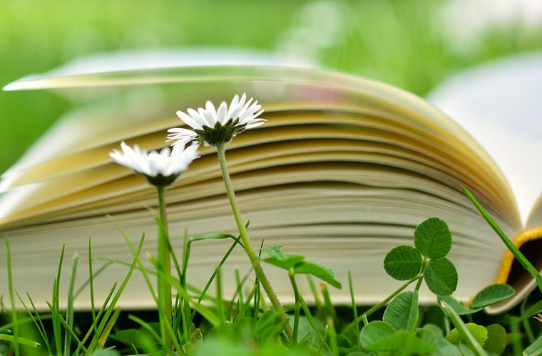 慈溪市女孩子就業(yè)率高的專業(yè)2024