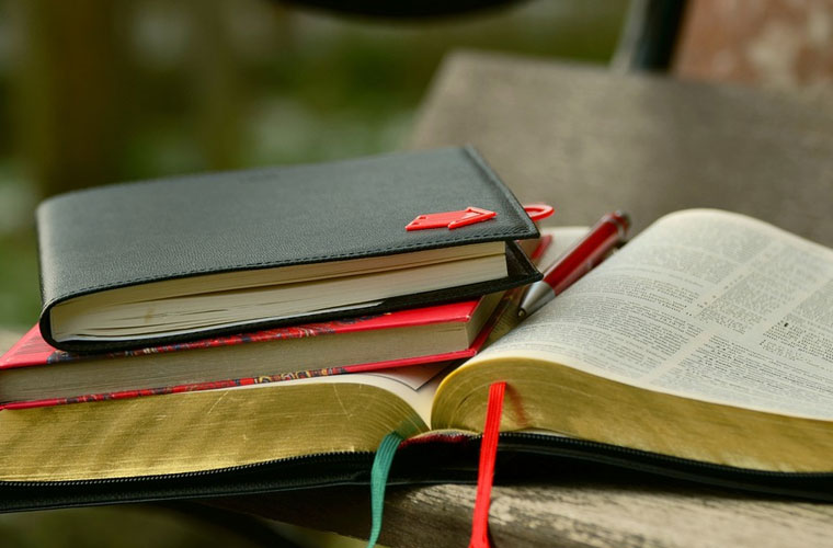 焦作市體育運(yùn)動(dòng)學(xué)校升學(xué)率、升學(xué)率怎么樣？