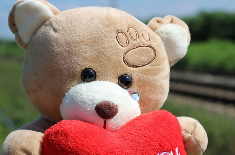 浙江新世紀(jì)經(jīng)貿(mào)專修學(xué)院春季招生（2023）