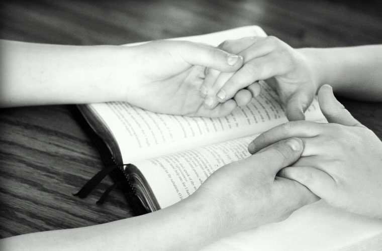 臨安市高考100分可以學(xué)些什么專業(yè)2025