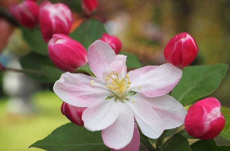 2025年四川德陽市高考單招補習班